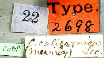 Media type: image;   Entomology 2698 Aspect: labels